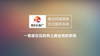 解密互联网发展趋势 以技术推广打开全网营销新格局